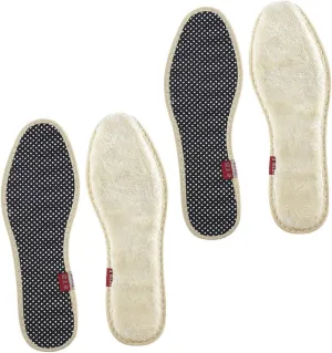 2Pairs Thickened Insoles for Winter Warm and Breathable Shoe Pads Non Slip Design for Casual Shoes and Boots Moisture Absorbing and Odorless Comfort