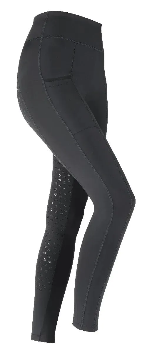 Aubrion Hudson Breggings