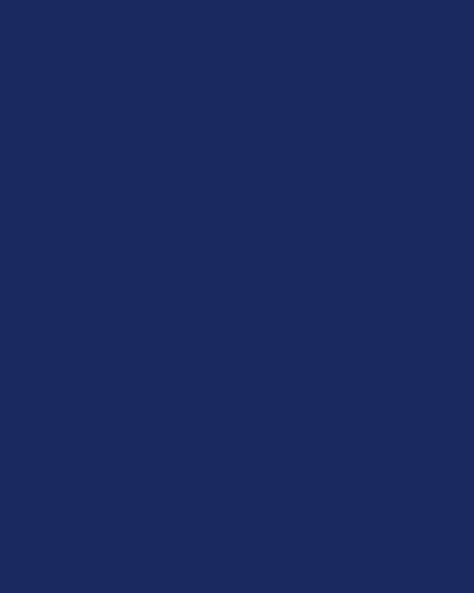 Lace Racerback Bralette | Navy Blue