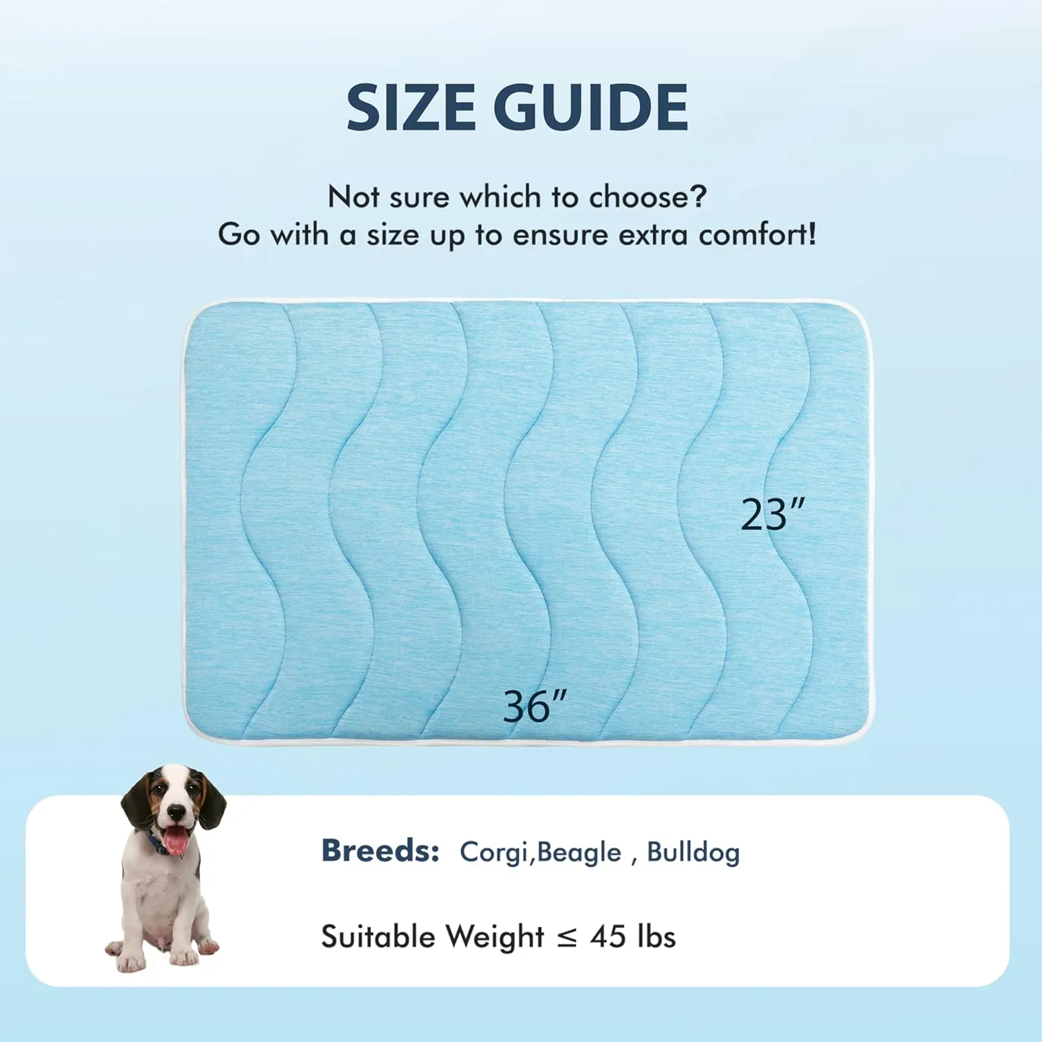 MICROCOSMOS 0.8" Thick Cooling Dog Foam Pad & Summer Pet Sleeping Mat, Machine Washable, Materials Safe, Portable Flat Pet Bed for Dogs.(Sky Blue, 36" x 23")